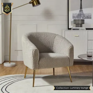 Modern Arm Chair