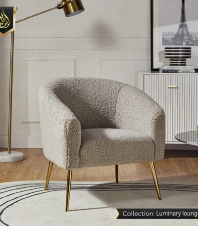 Modern Arm Chair