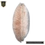 Fluffy Cushion