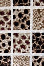 Modern Rugs