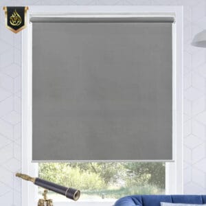 Gray Blinds